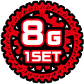 8G 1SET