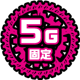 5G固定